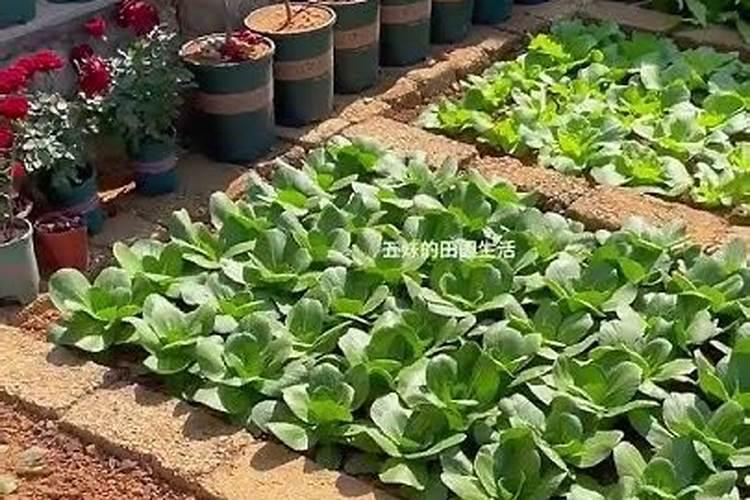 是化肥含尿素 尿素含氮吗 还是尿素就是化肥啊？真心不明白这个关系,求解 ...