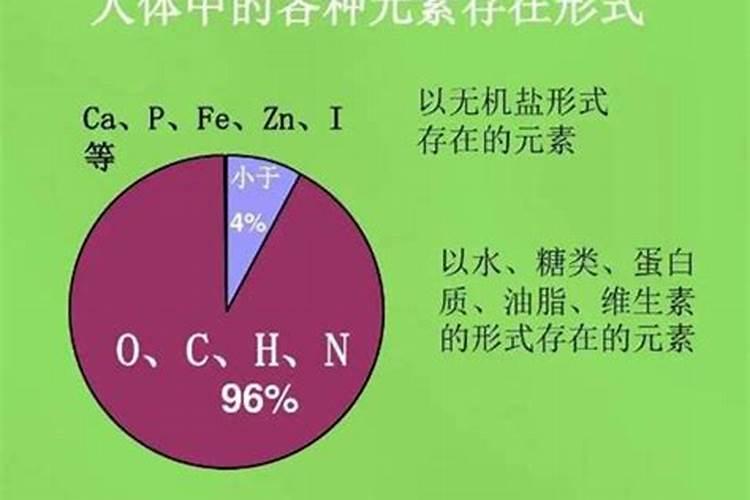 碱性食品有哪些