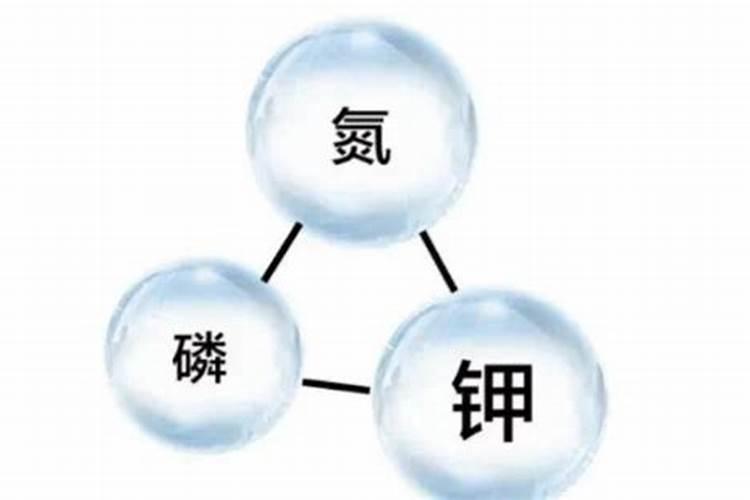 大、中、微量元素的区别