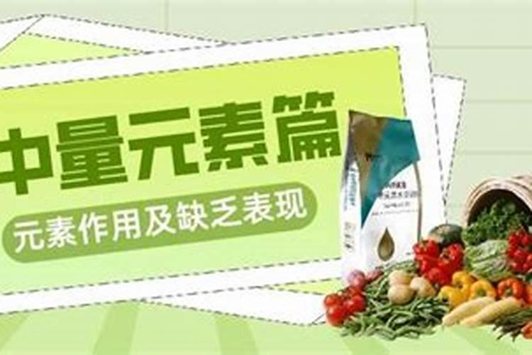 大量元素中量元素微量元素的区别
