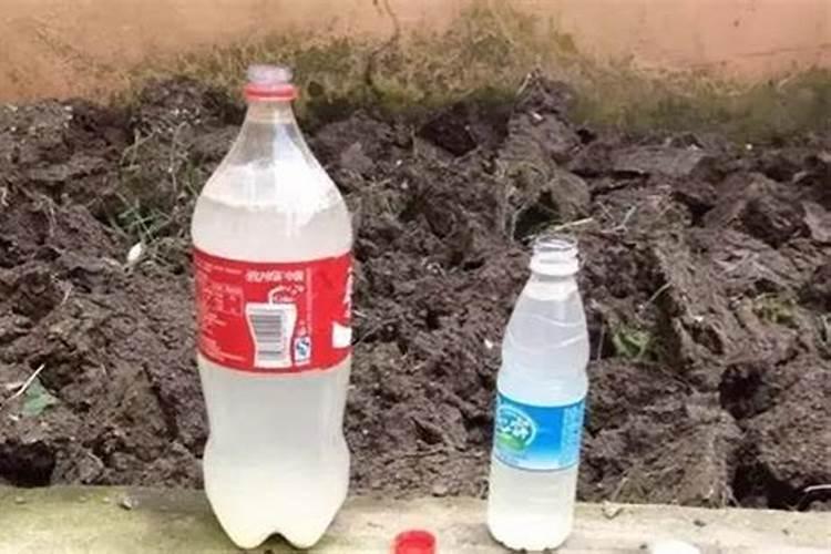 淘米水是氮肥还是磷肥 如何使用淘米水