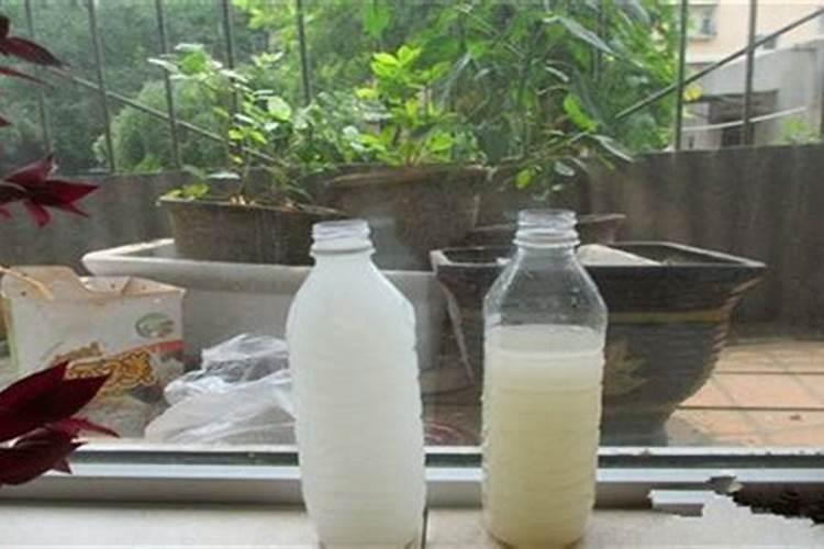 淘米水是氮肥还是磷肥
