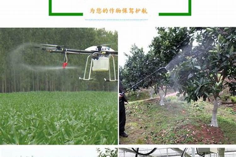 水溶肥叶面喷施的浓度