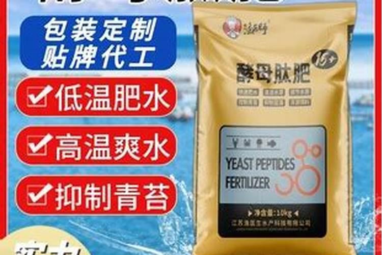 池塘冬天可以使用酵母肽肥吗