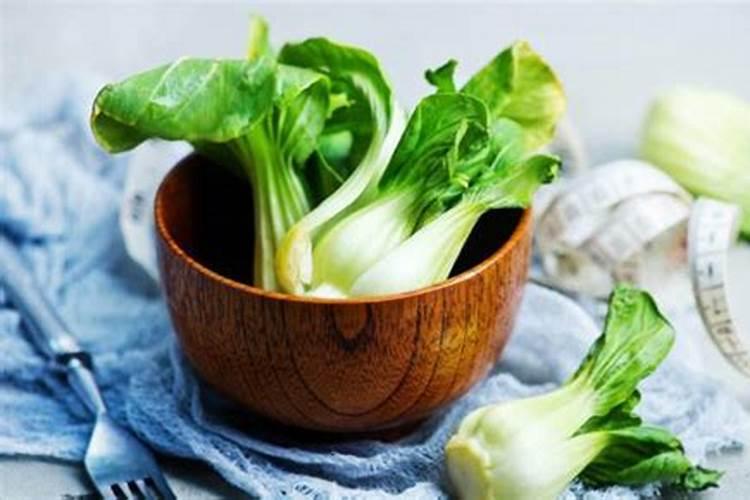 怎样在家种菜