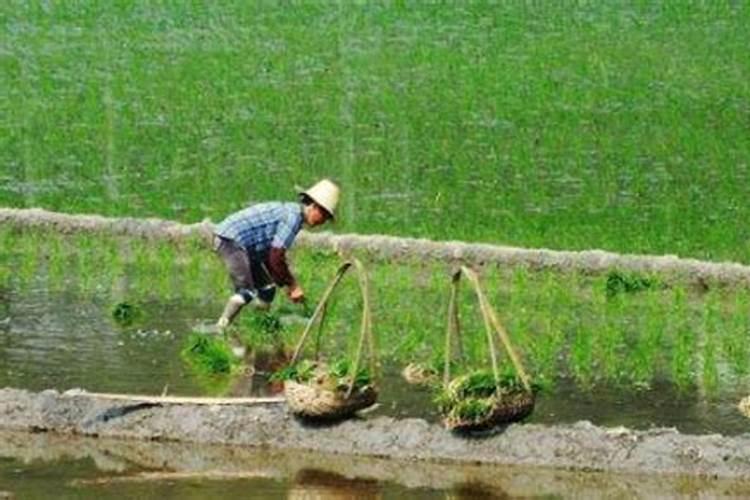 田家四季歌积肥是冬季还是夏季