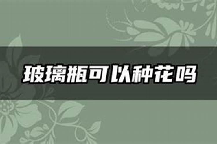 用坏鸡蛋来沤肥有什么具体办法