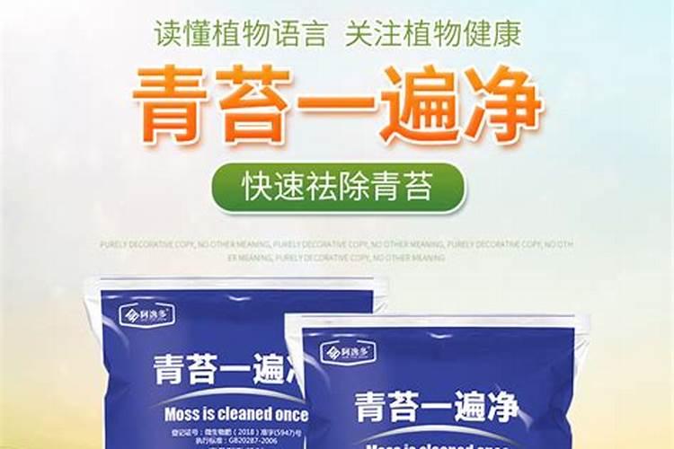叶面肥哪个好