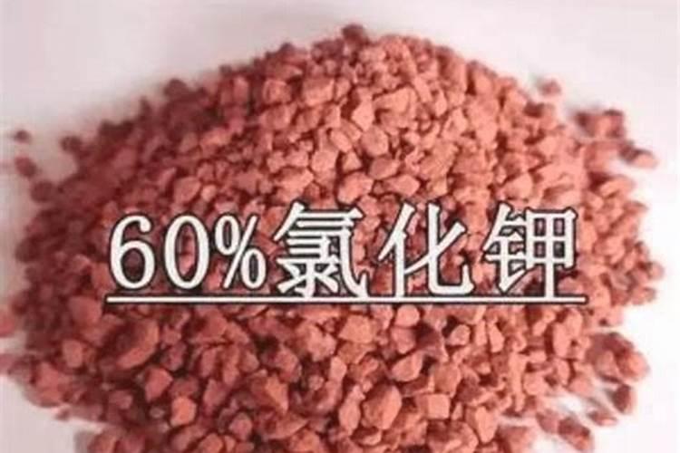 氯化钾可以当肥料吗？