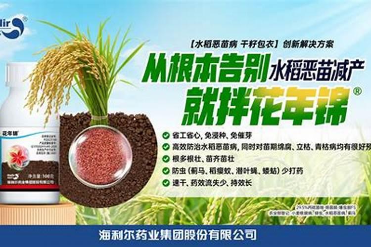 中远海特股票分析与东方财富网