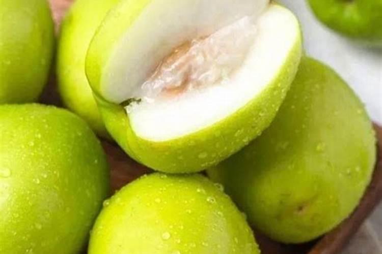 台湾大青枣栽培技术,青枣怎么养殖