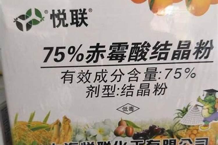 阳光玫瑰硬核期果粒发蔫怎么回事？