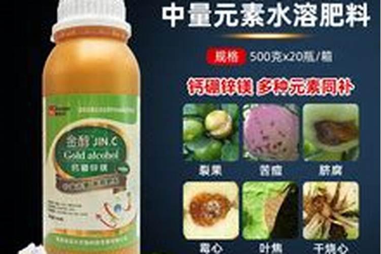 椰子肉怎么吃好吃