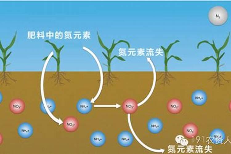 摘樱桃的地方