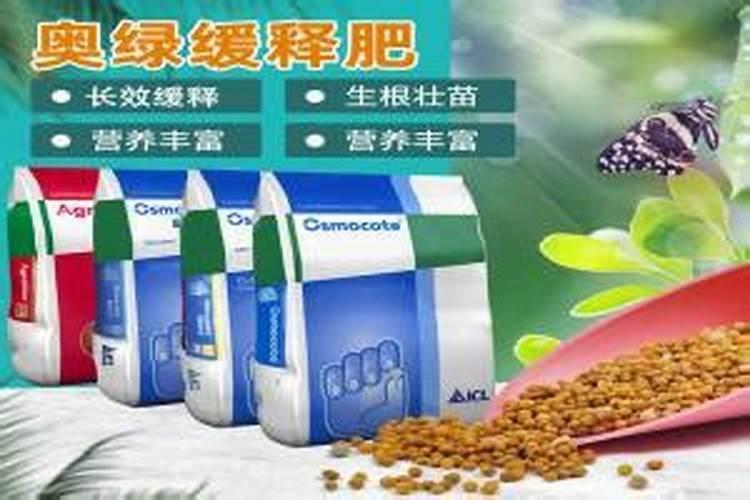 奥绿318s适合什么花