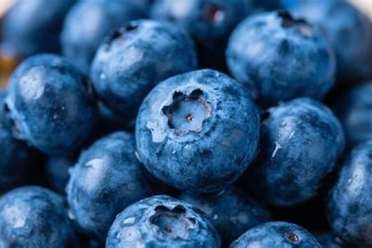 精炼棕榈油是什么油