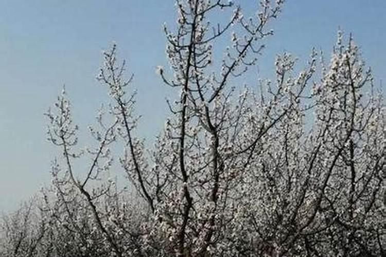 肥害解救最快的方法