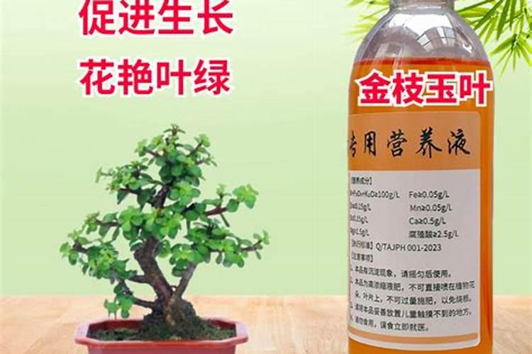 一亩地的温室大棚要多少造价？