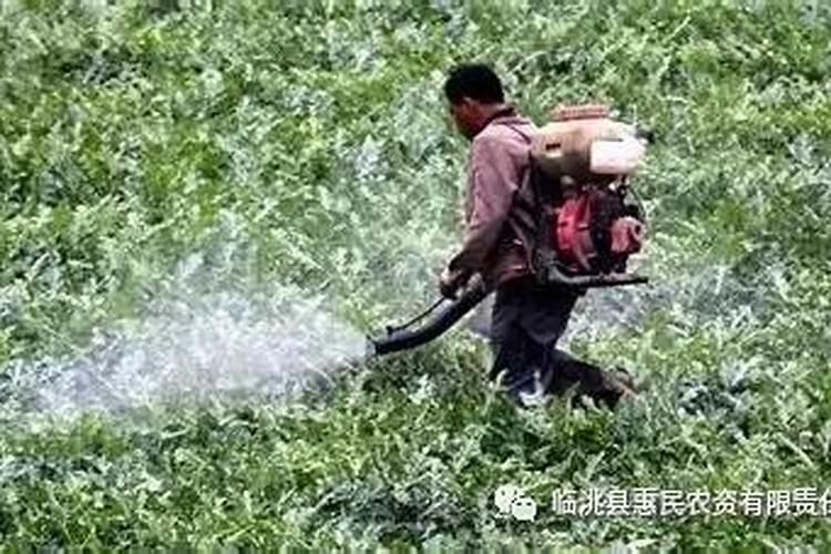 临期杀菌剂药害