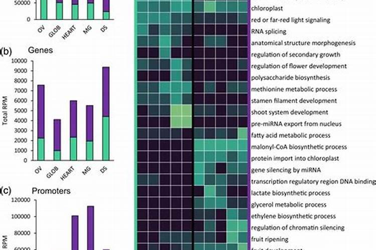 如何做园艺肥料