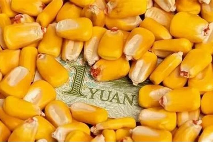 玉米专用肥料什么品牌的好？