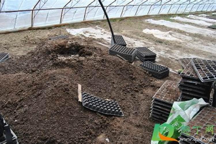 草木灰可以直接拌土用养花吗 草木灰可以直接拌土用养花不