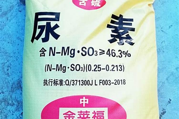 家庭养茉莉怎么施肥