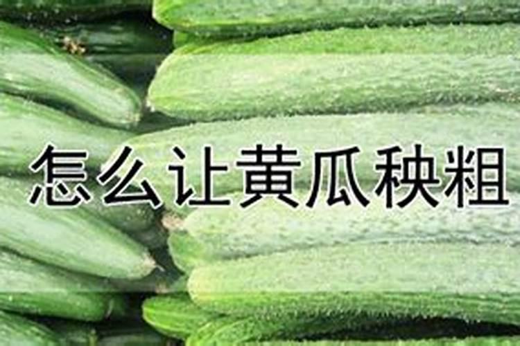 爬墙梅几月份移栽好？