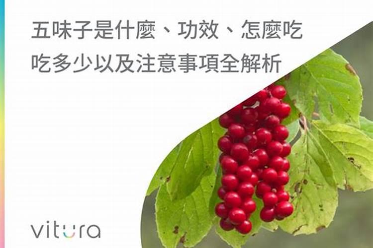 北五味子花期施肥管理方法 如何在北五味子花期施肥
