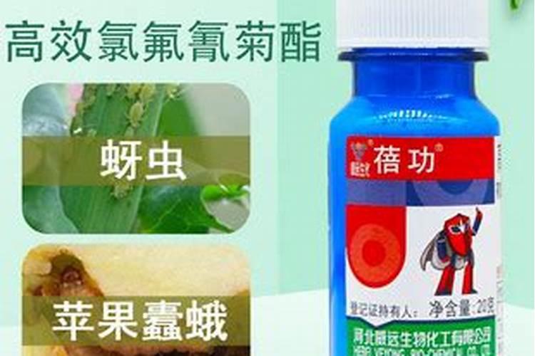 苹果锈病什么杀菌药最好