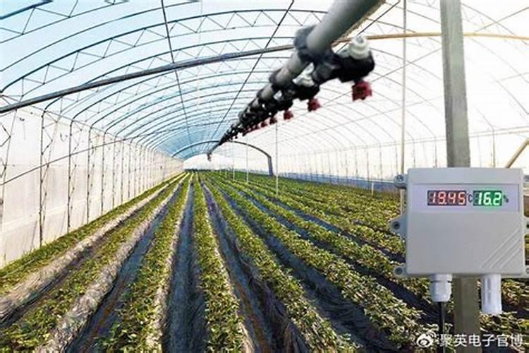 请分析在农业生产中,如何合理灌溉和施肥,以提高农作物的产量和质量...