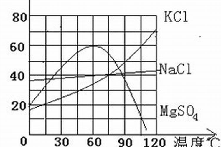 多肉玉坠用高盆还是一盆？
