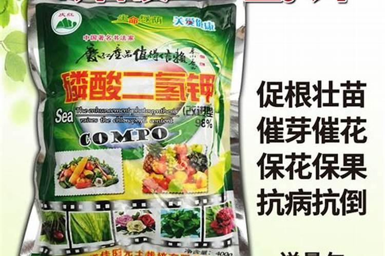 一亩草莓浇了26公斤钾肥多吗？要如何补救