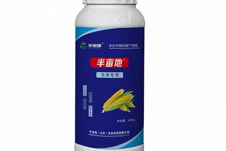 玉米金大棒叶面肥有效果吗