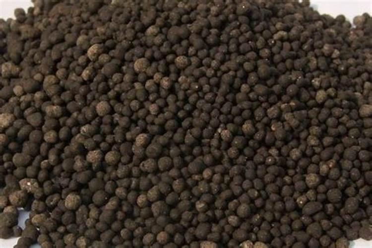 硼肥的使用方法与用量