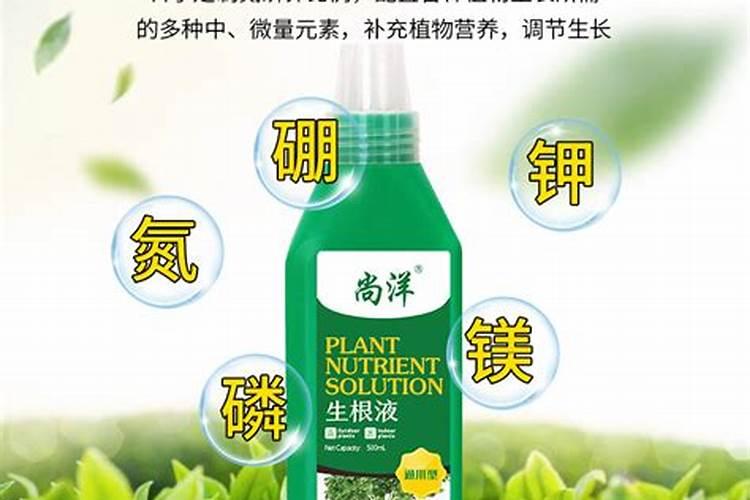生根粉怎么用效果最佳