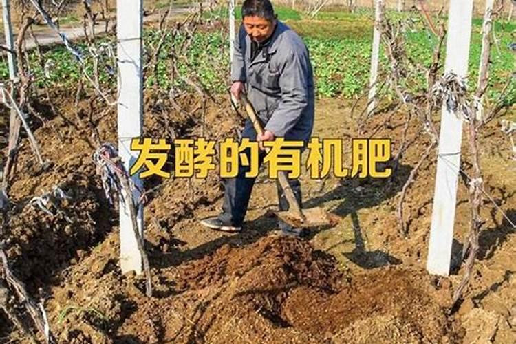 花卉生根用氮肥还是磷肥,花卉施氮肥最好的方法