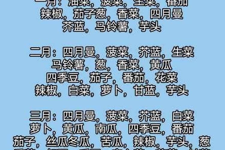 春季小麦施什么肥合适