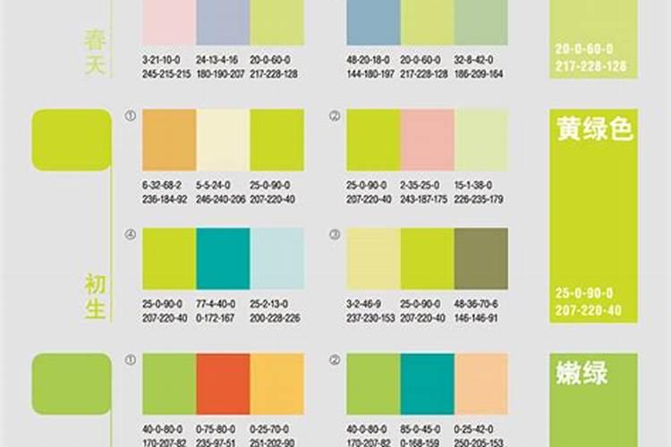 多肉用什么肥料施肥最好