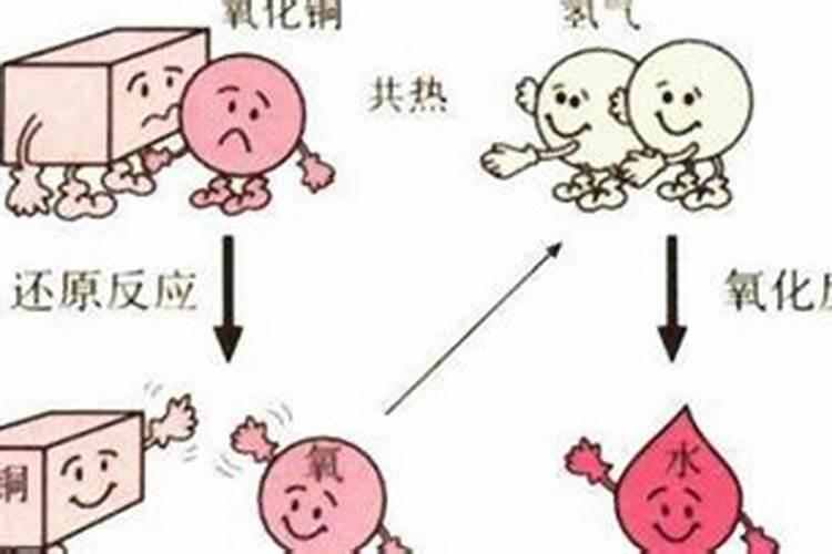 什么是氮肥