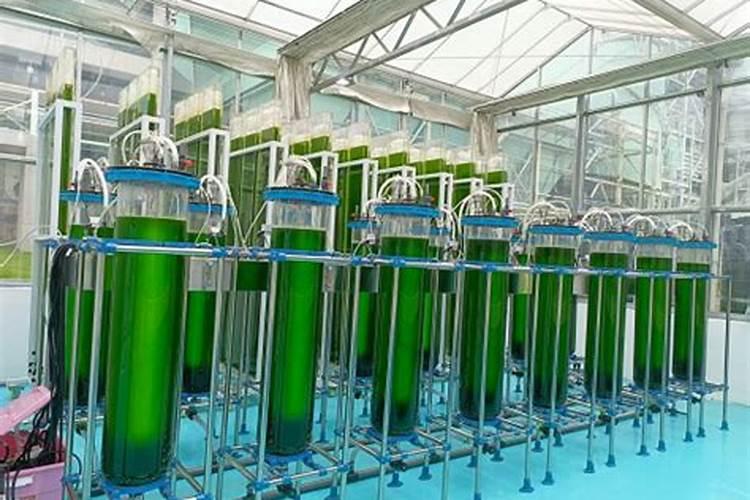 快宝叶面肥与凯普克对比