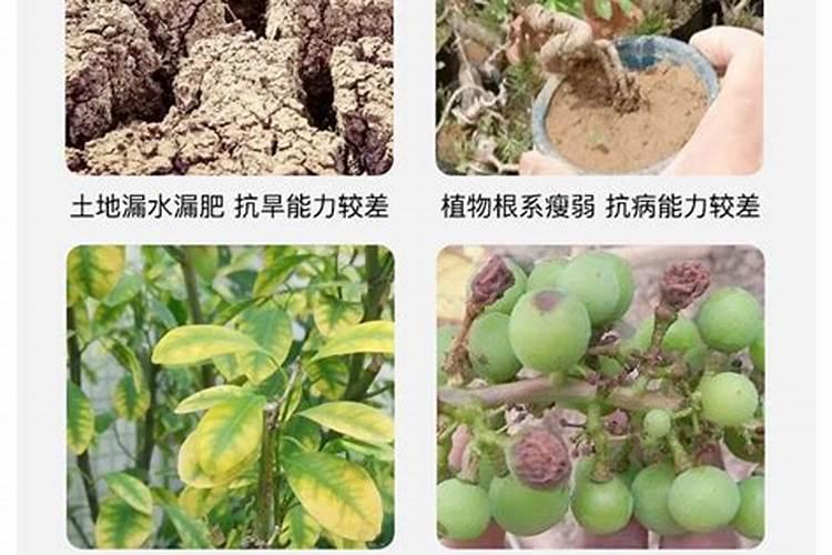 矿源黄腐酸钾的作用及功能