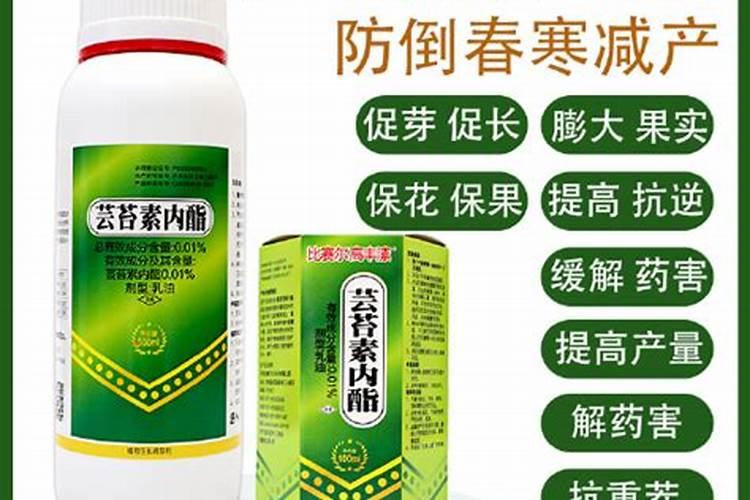 芸苔素内酯哪个厂家好