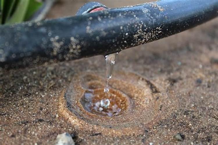 滴灌,滴玩肥再滴水七小时肥能被稀释到对作物不起作用的地步吗？