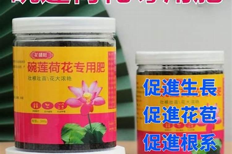 怎样处理荷花肥料大