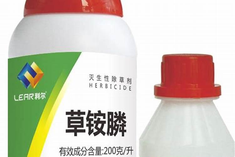 精草铵膦毛芋田除草会有药害吗？