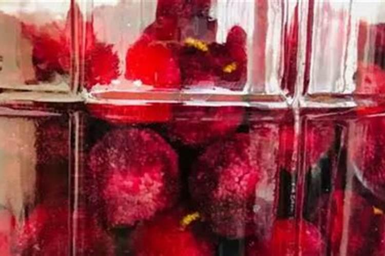 泡酒后的杨梅可以养花吗泡酒后的杨梅可以做肥料吗