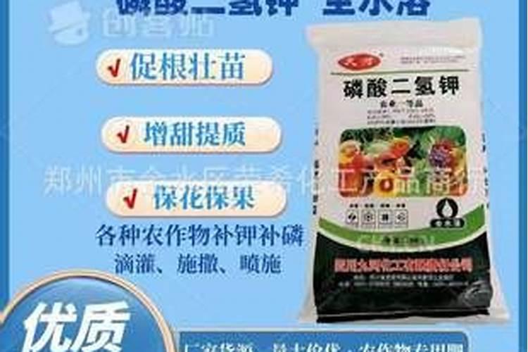 栀子花叶子发黄干枯可以使用磷酸二氢钾吗？