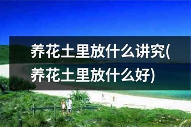 磷肥厂用过的土可以种花吗？
