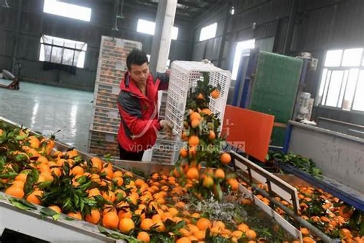 云南柳惠怎么样